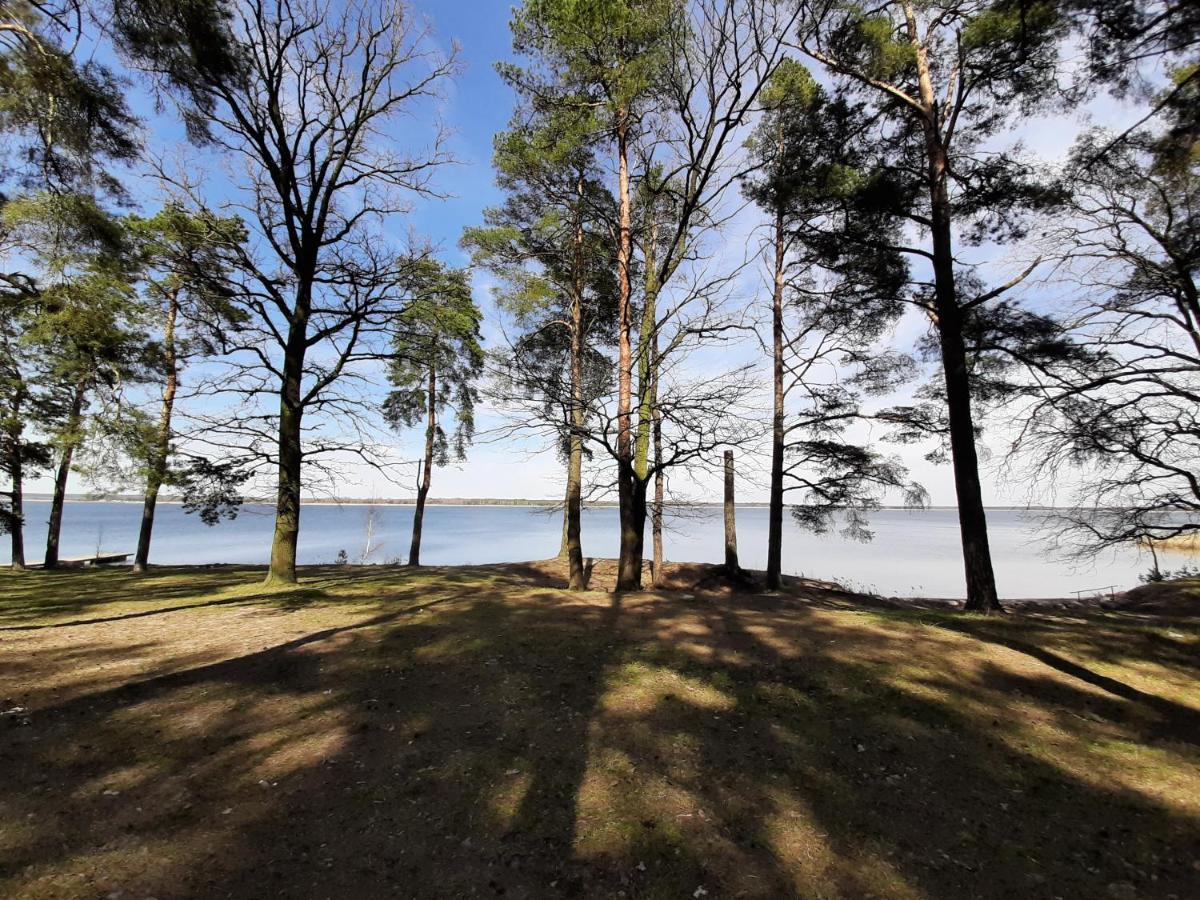 Zubr Nad Zalewem Luka Exterior foto