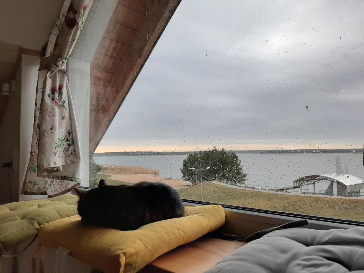 Zubr Nad Zalewem Luka Exterior foto