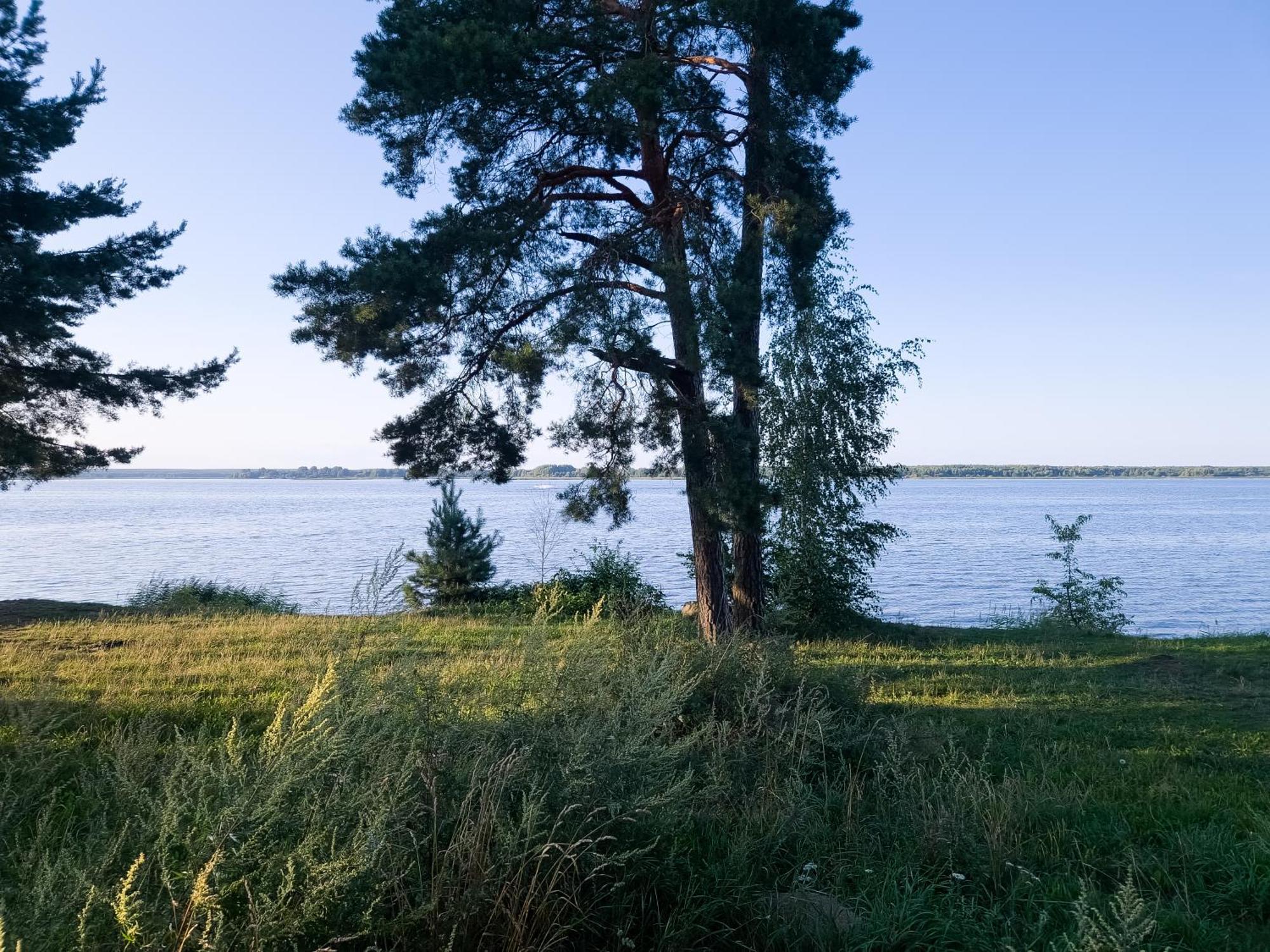 Zubr Nad Zalewem Luka Exterior foto